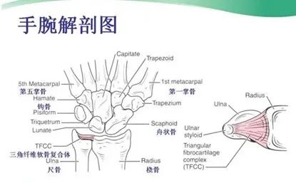 请输入图片描述